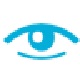 VideoEye0.2